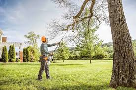 How Our Tree Care Process Works  in  French Lick, IN